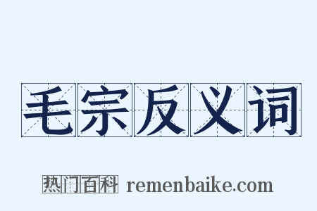 毛宗反义词是什么意思的图片